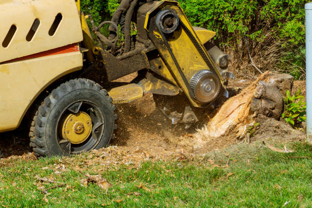 Soil Testing and Treatment in Lake Sherwood, CA