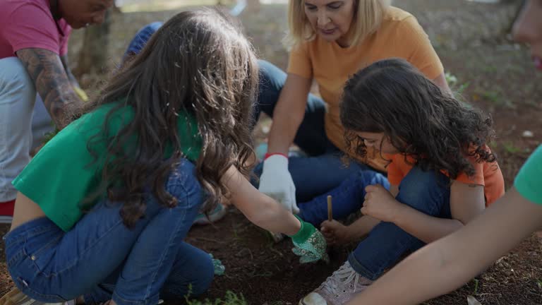 Tree and Shrub Care in Lake Sherwood, CA